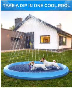 PISCINA-PARA-PERROS